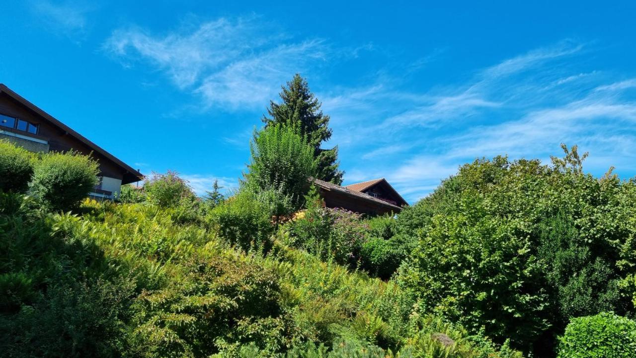 Apartment Heidi Spiez Εξωτερικό φωτογραφία